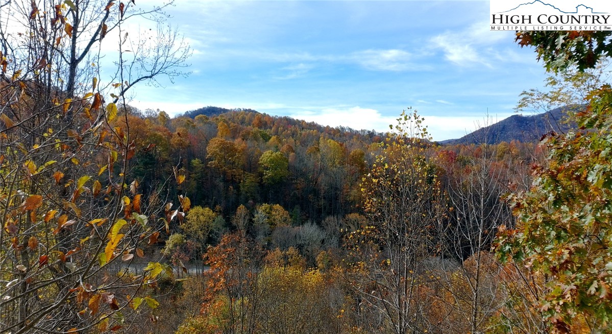 Lot C3 Bear Paw Road Property Photo 2