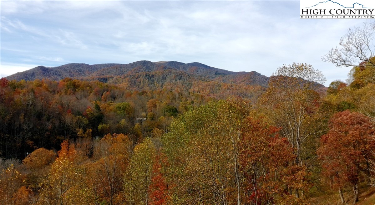 Lot C3 Bear Paw Road Property Photo 4