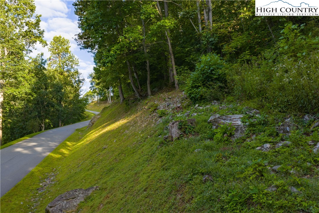 Lot C3 Bear Paw Road Property Photo 5