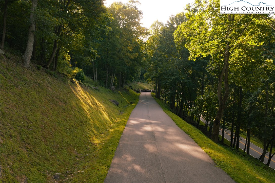 Lot C3 Bear Paw Road Property Photo 6