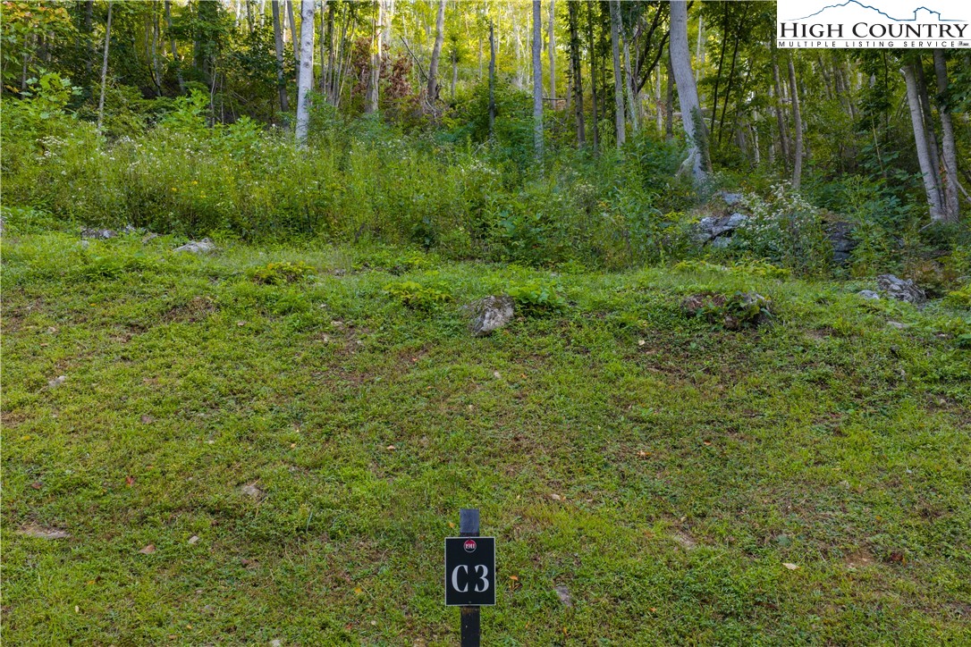 Lot C3 Bear Paw Road Property Photo 7