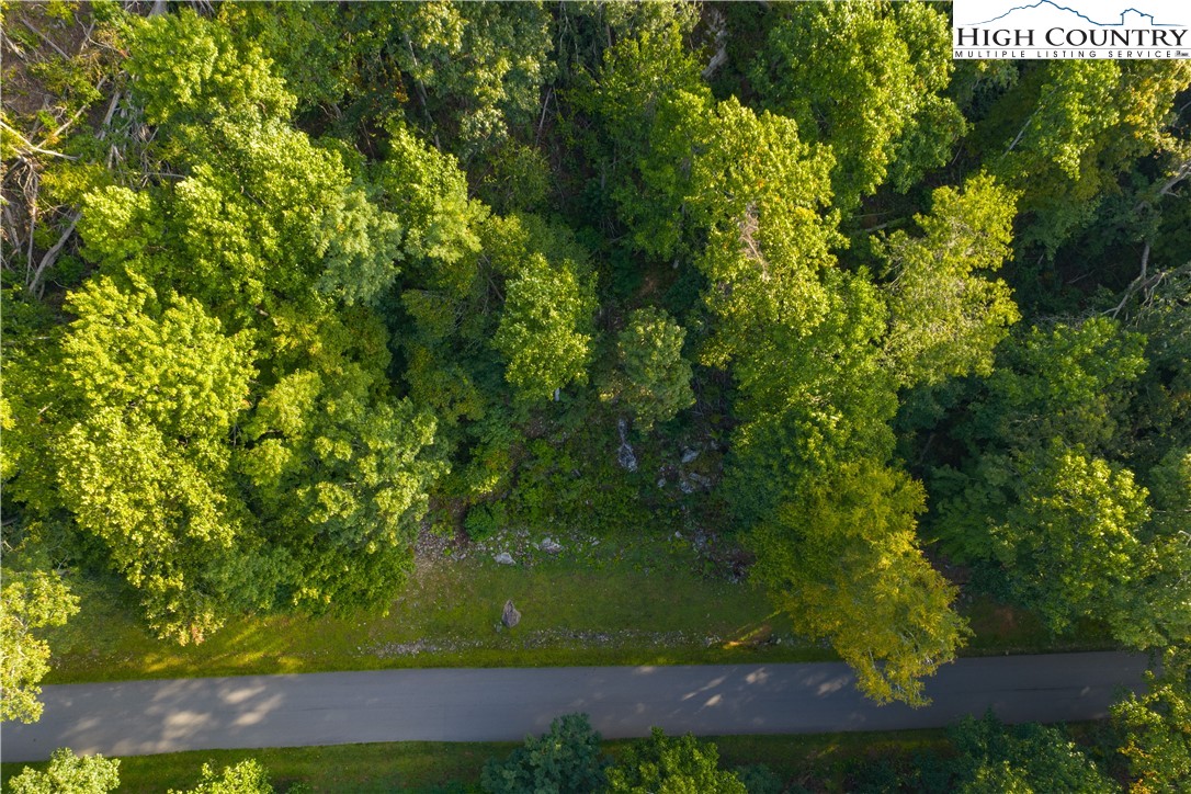 Lot C3 Bear Paw Road Property Photo 9