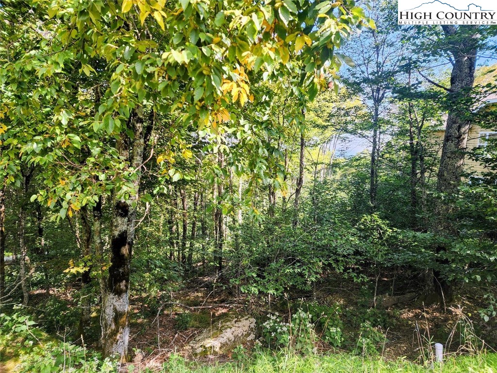 1060 Charter Hills Road Property Photo 2