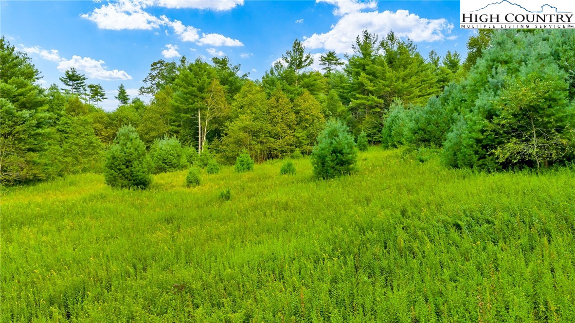 Tbd Us Hwy 221 S Property Photo 2