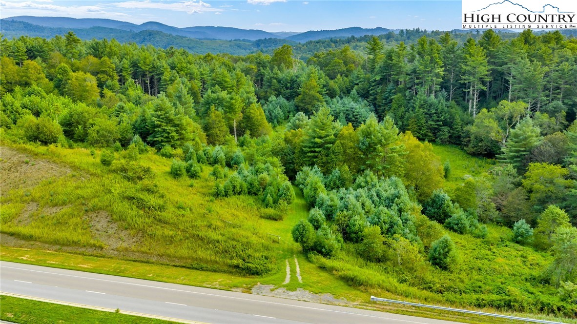 Tbd Us Hwy 221 S Property Photo 3