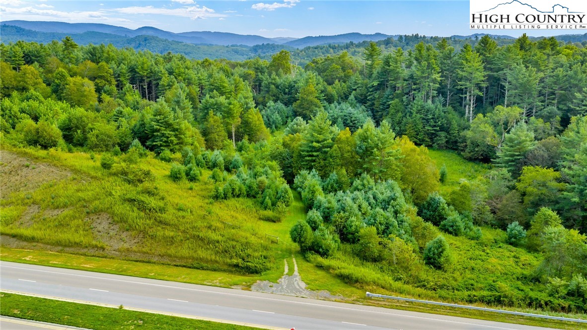 Tbd Us Hwy 221 S Property Photo 7