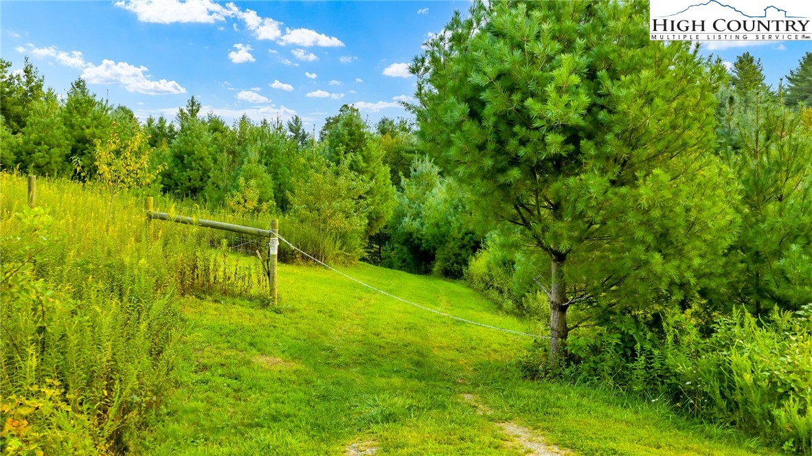 Tbd Us Hwy 221 S Property Photo 9