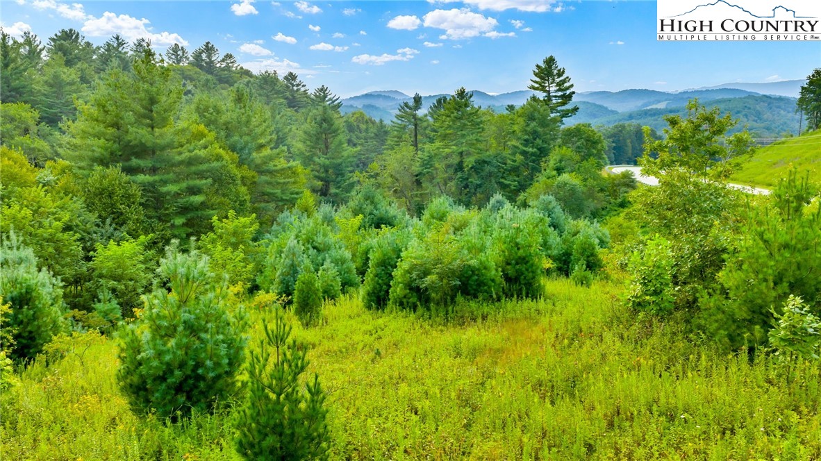 Tbd Us Hwy 221 S Property Photo 10