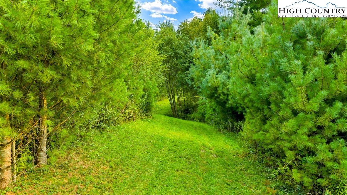 Tbd Us Hwy 221 S Property Photo 11