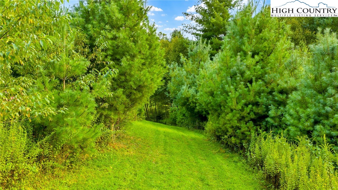 Tbd Us Hwy 221 S Property Photo 12