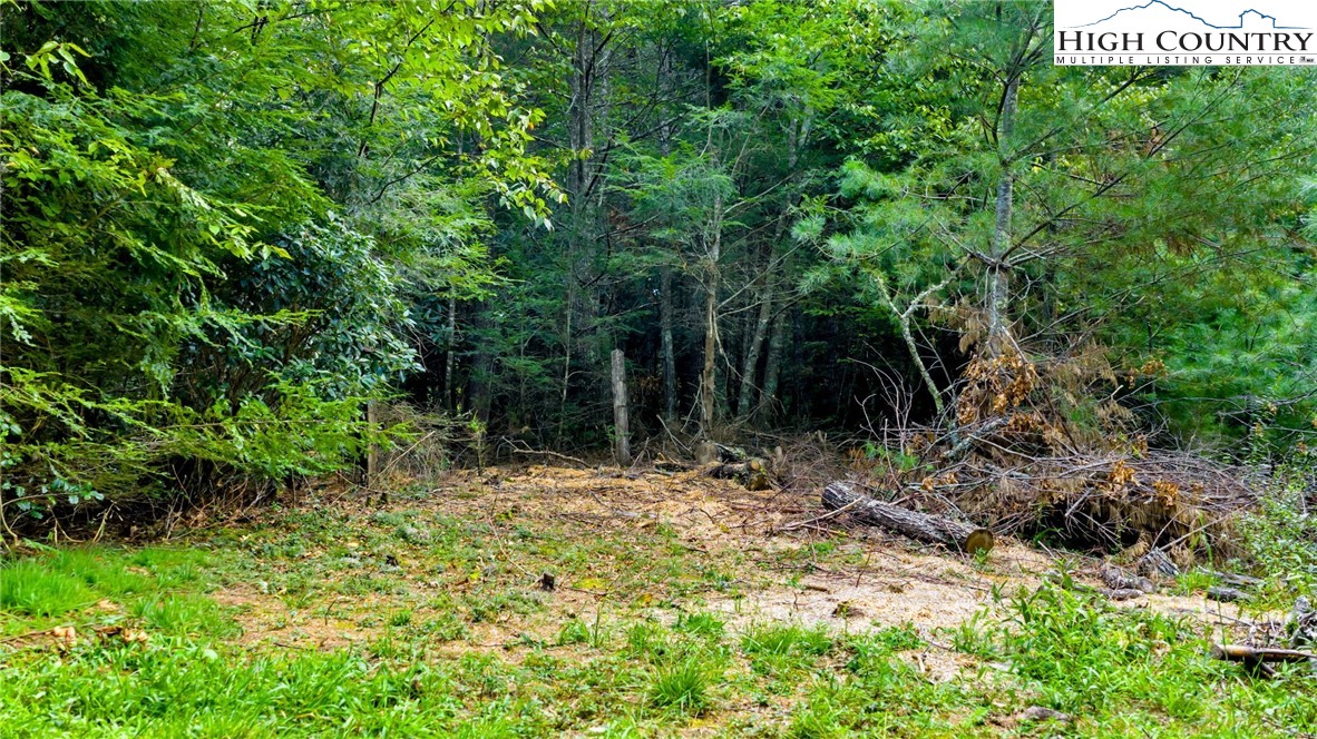 Tbd Us Hwy 221 S Property Photo 13