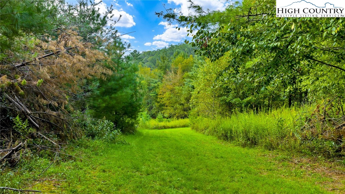 Tbd Us Hwy 221 S Property Photo 15