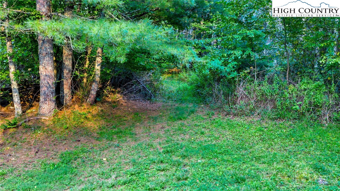 Tbd Us Hwy 221 S Property Photo 16