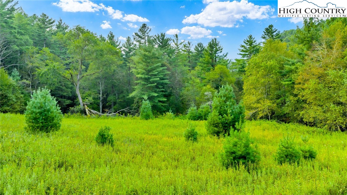 Tbd Us Hwy 221 S Property Photo 17