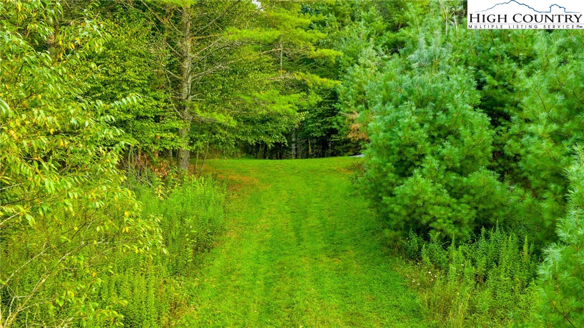 Tbd Us Hwy 221 S Property Photo 18