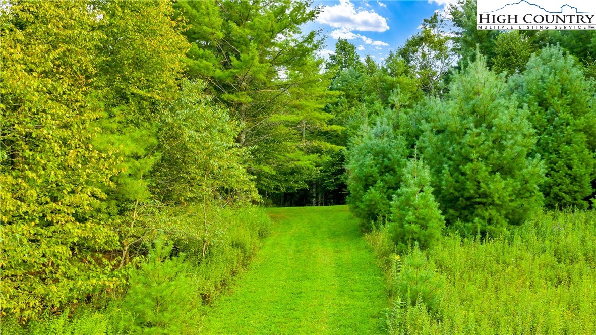 Tbd Us Hwy 221 S Property Photo 19