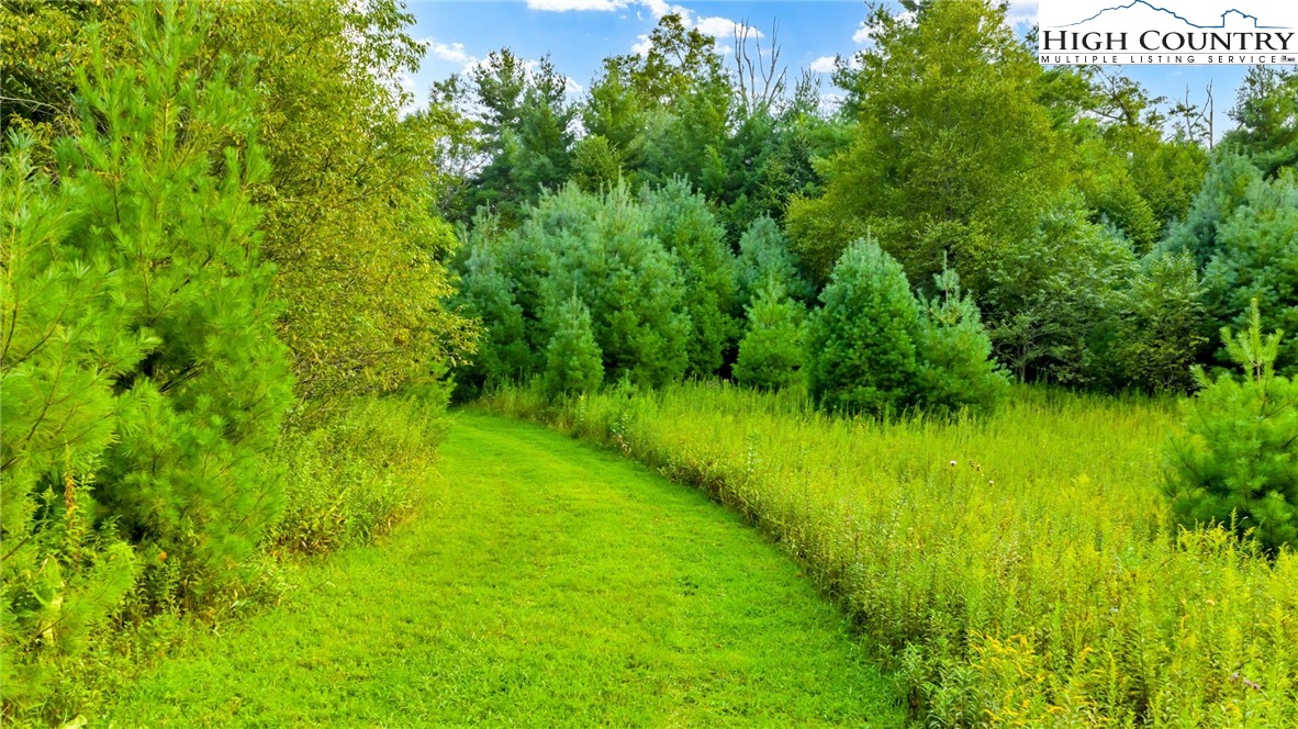 Tbd Us Hwy 221 S Property Photo 20