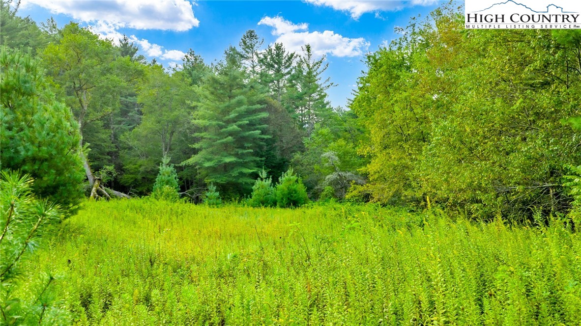 Tbd Us Hwy 221 S Property Photo 21