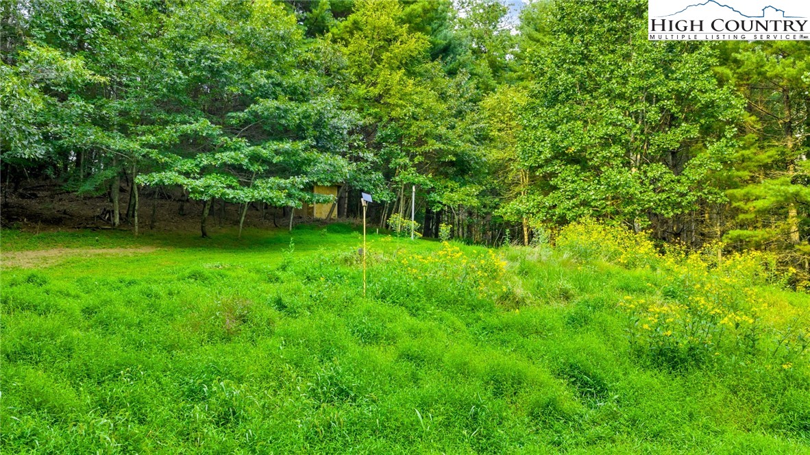 Tbd Us Hwy 221 S Property Photo 22