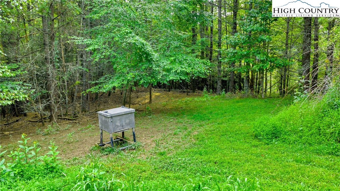 Tbd Us Hwy 221 S Property Photo 23