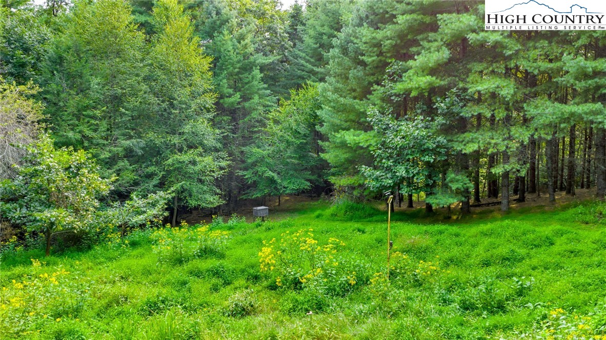 Tbd Us Hwy 221 S Property Photo 24