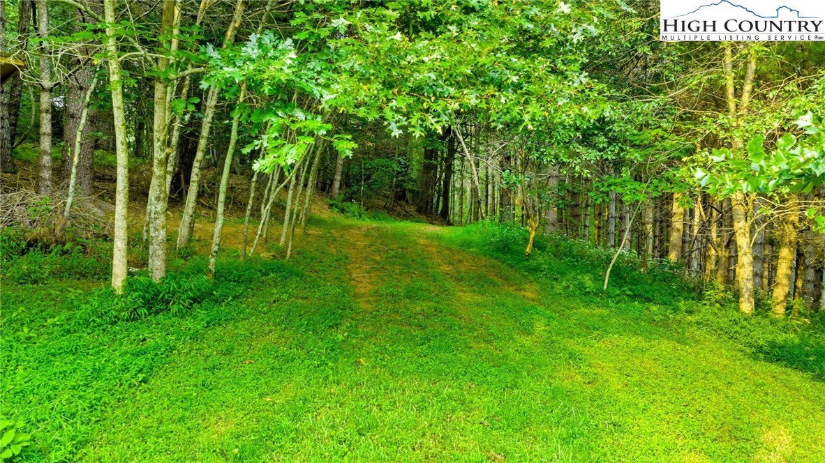 Tbd Us Hwy 221 S Property Photo 25