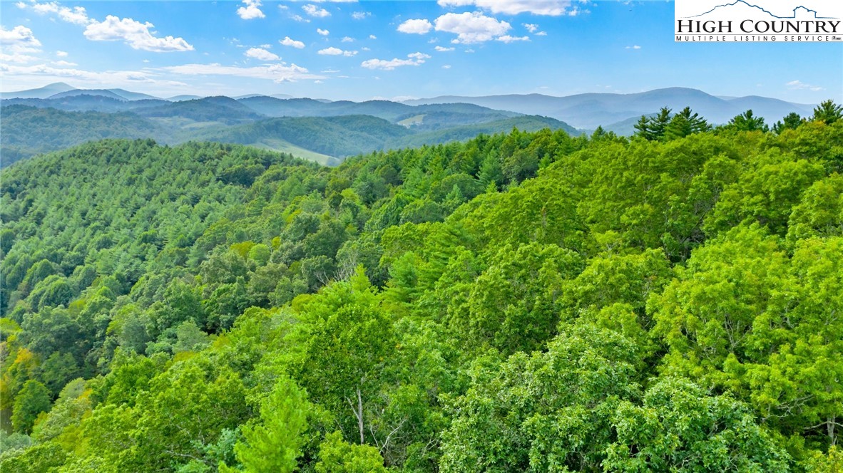 Tbd Us Hwy 221 S Property Photo 27