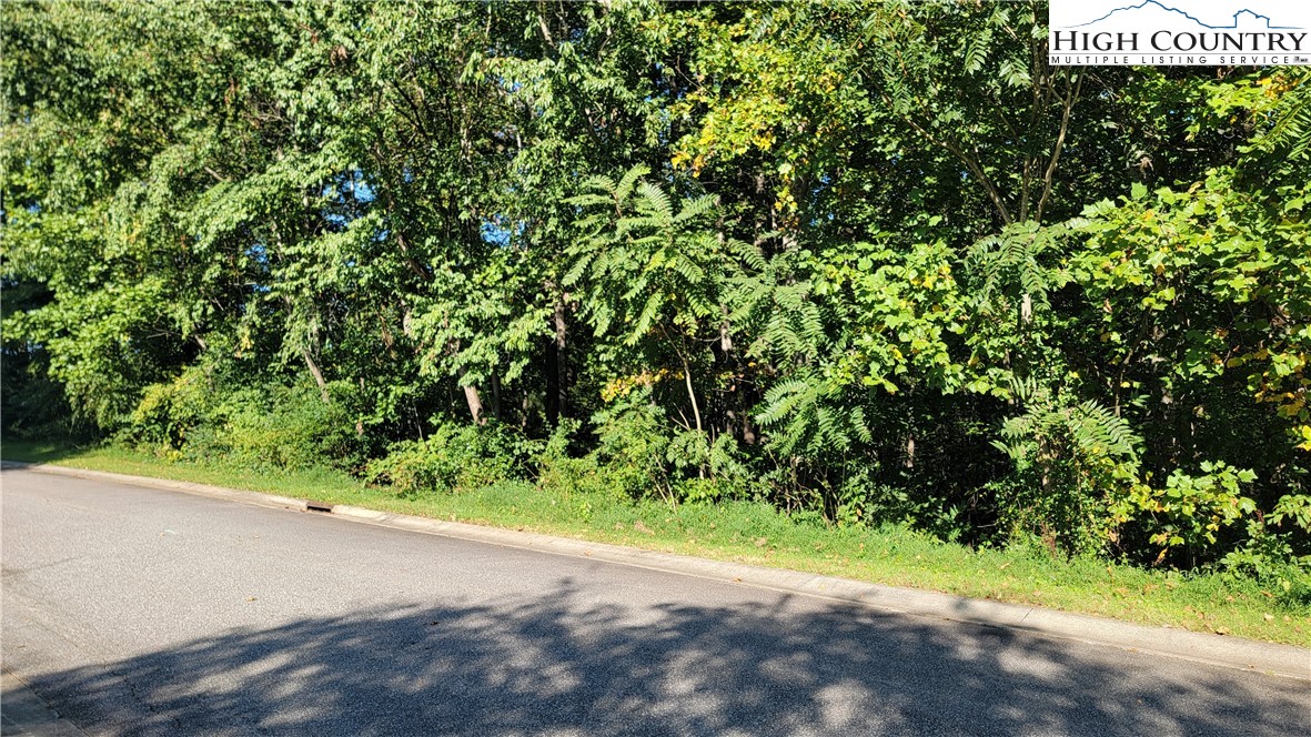 Lot 115 207 Monk Court Property Photo 1