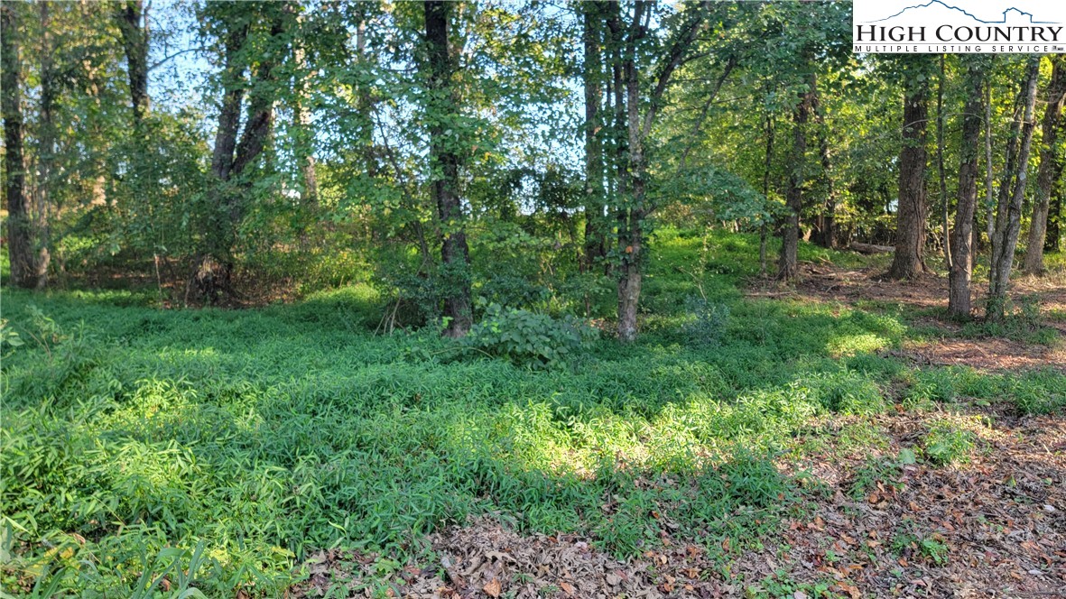 Lot 125 119 Friar Court Property Photo 1