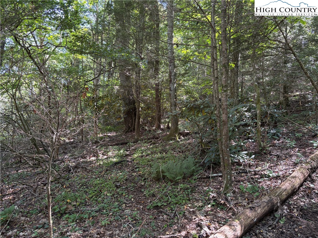 Tbd Grouse Covert Rd Property Photo 4