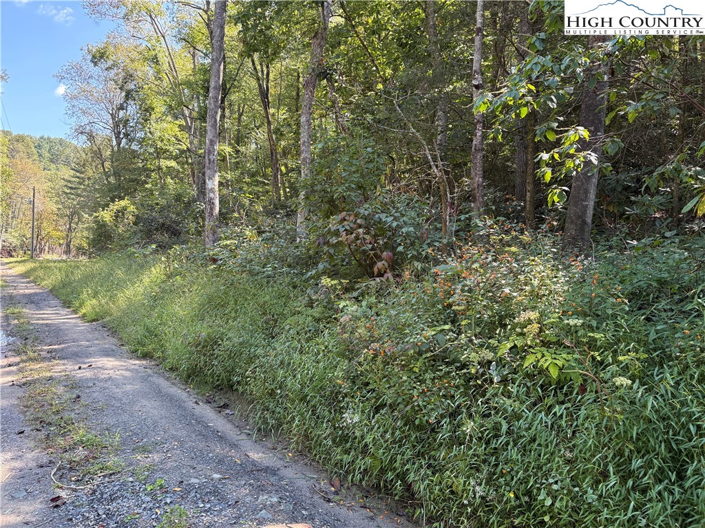 Tbd Grouse Covert Rd Property Photo 7