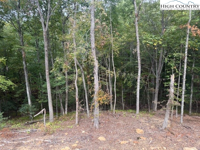 Tbd Peck Peak Road Property Photo 17