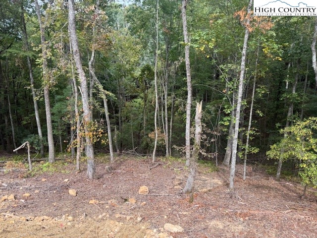 Tbd Peck Peak Road Property Photo 18