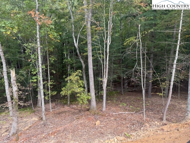 Tbd Peck Peak Road Property Photo 19