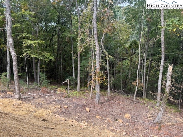 Tbd Peck Peak Road Property Photo 21