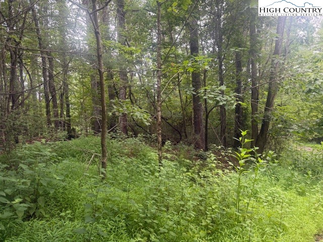 Tbd Beaver Creek Drive Property Photo 1