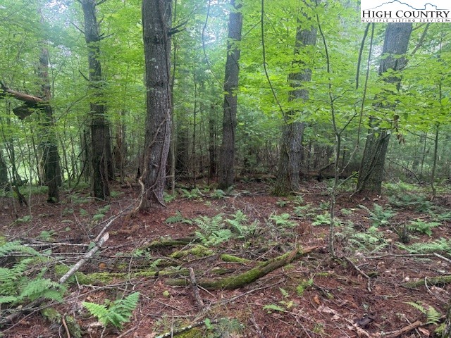 Tbd Beaver Creek Drive Property Photo 2