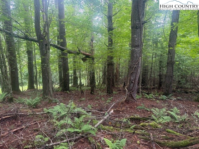Tbd Beaver Creek Drive Property Photo 3