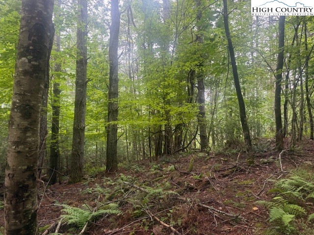 Tbd Beaver Creek Drive Property Photo 4