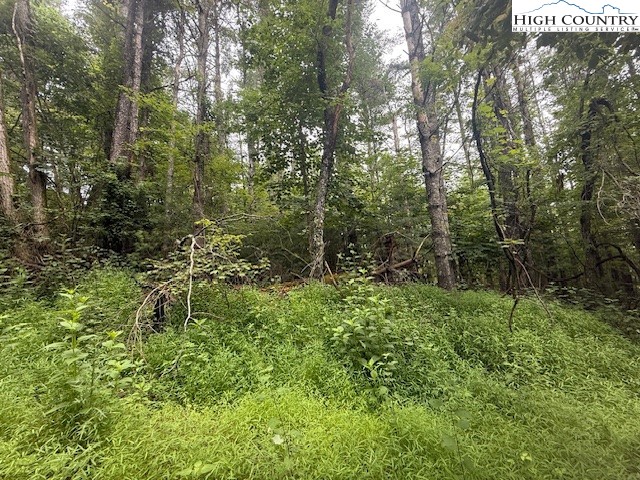Tbd Beaver Creek Drive Property Photo 5