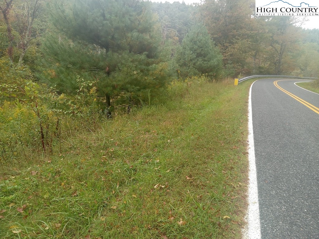 Tbd Big Peak Creek Road Property Photo 3