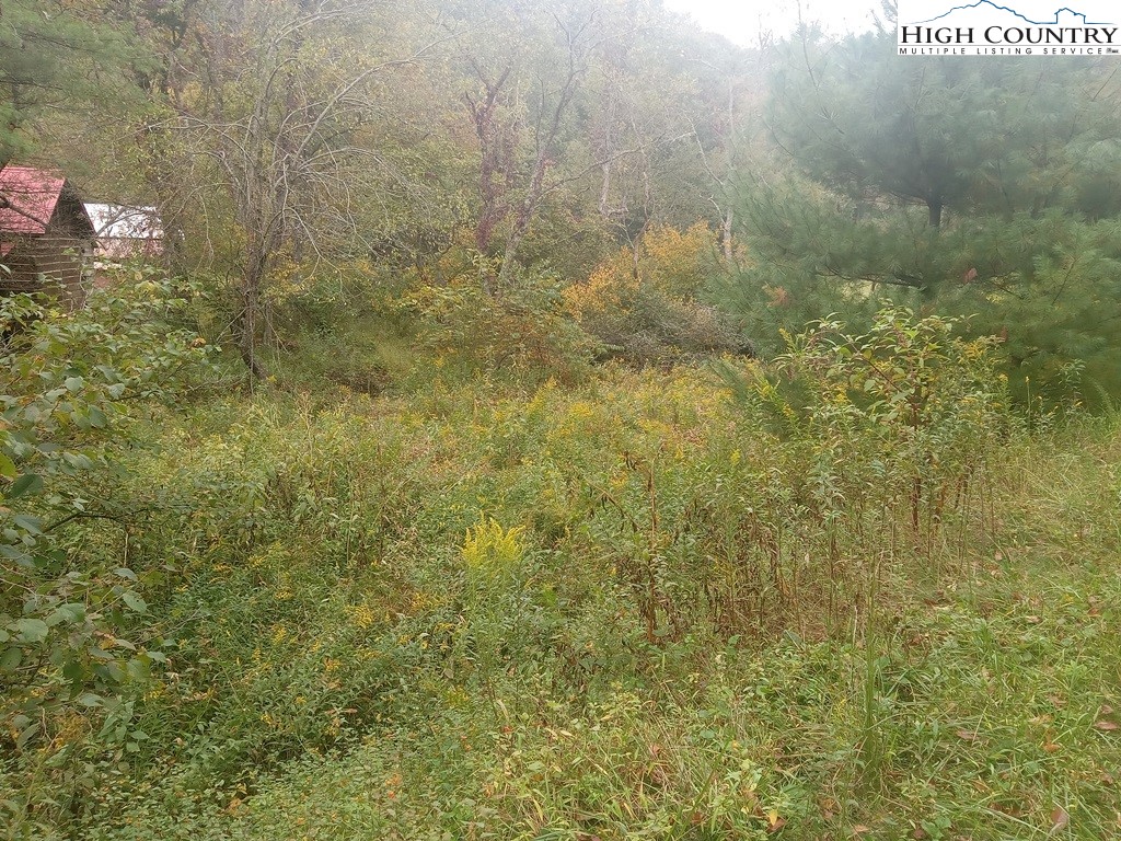 Tbd Big Peak Creek Road Property Photo 4
