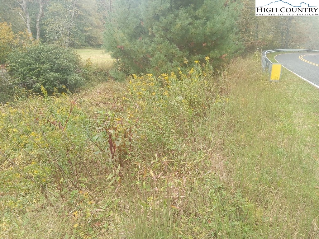 Tbd Big Peak Creek Road Property Photo 5