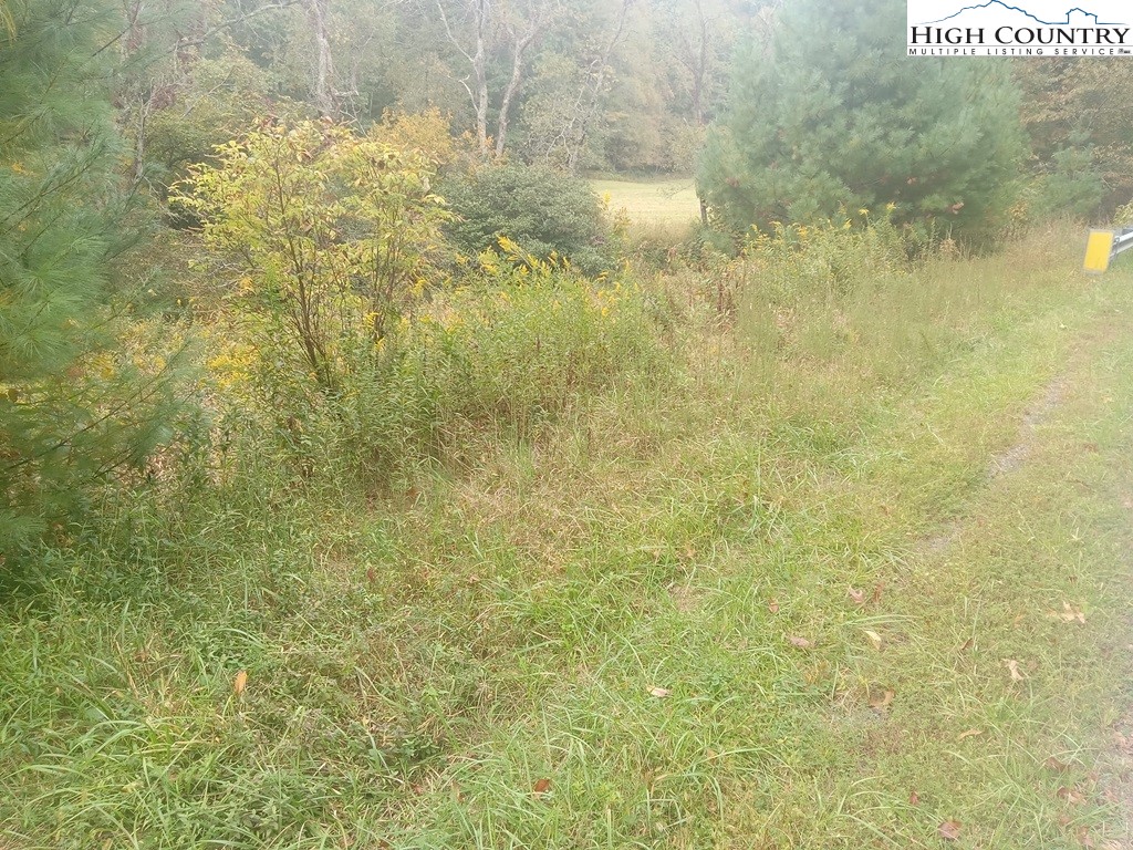 Tbd Big Peak Creek Road Property Photo 6