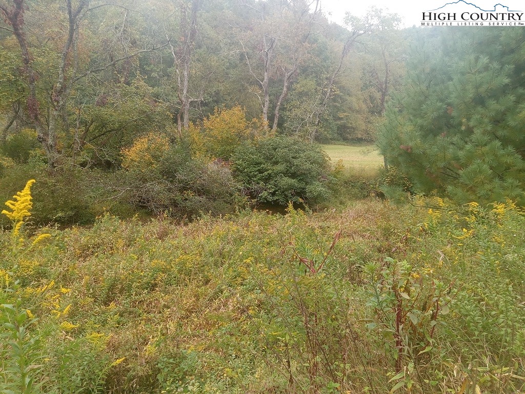 Tbd Big Peak Creek Road Property Photo 7