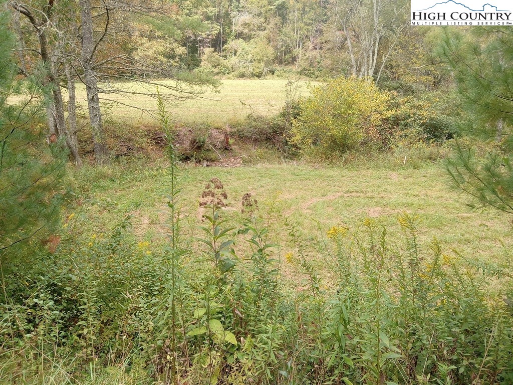 Tbd Big Peak Creek Road Property Photo 8