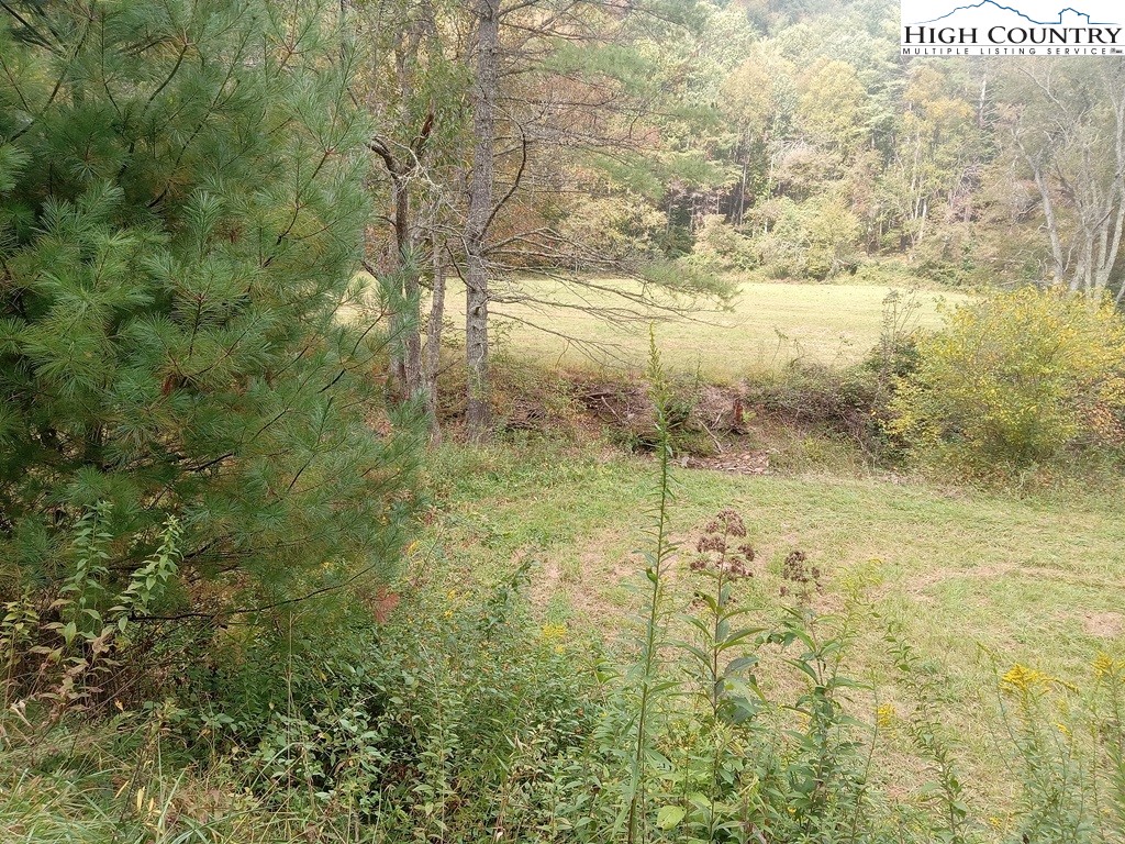 Tbd Big Peak Creek Road Property Photo 10