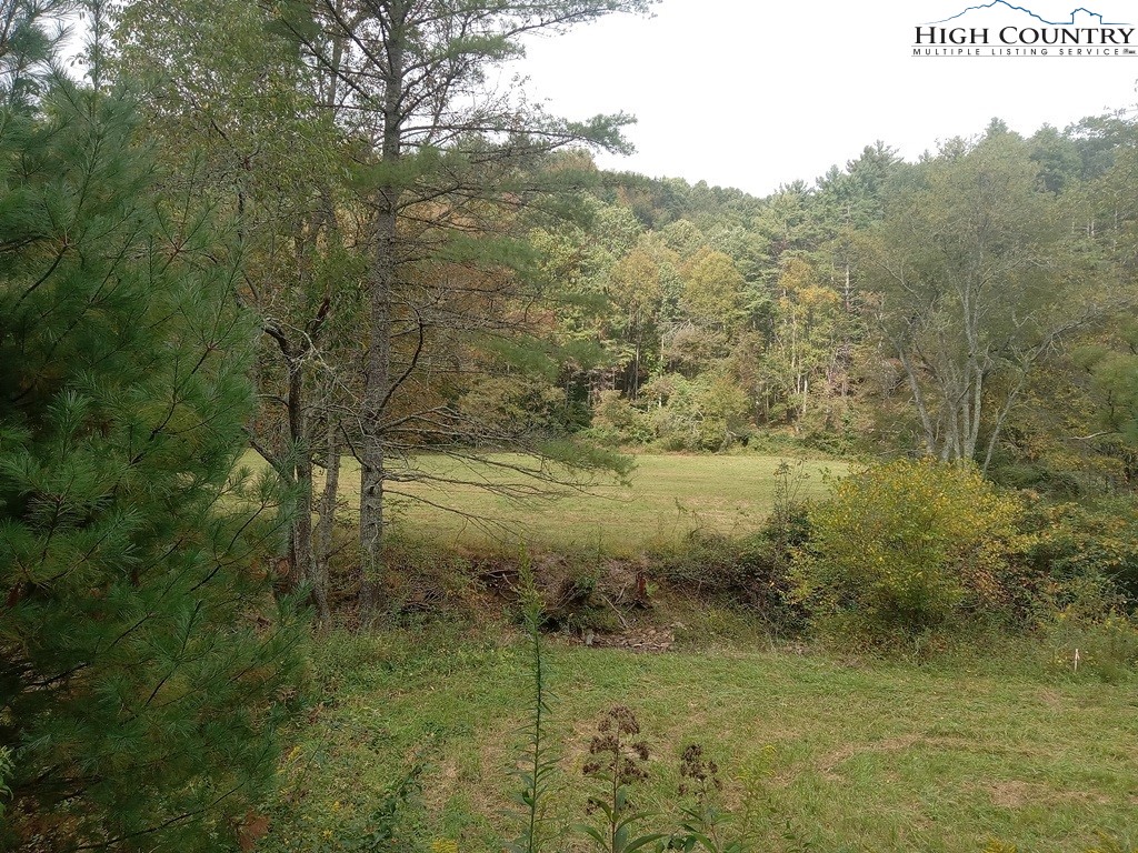 Tbd Big Peak Creek Road Property Photo 11