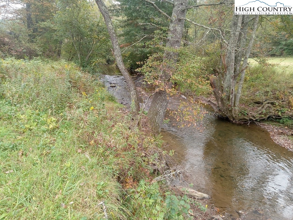 Tbd Big Peak Creek Road Property Photo 13