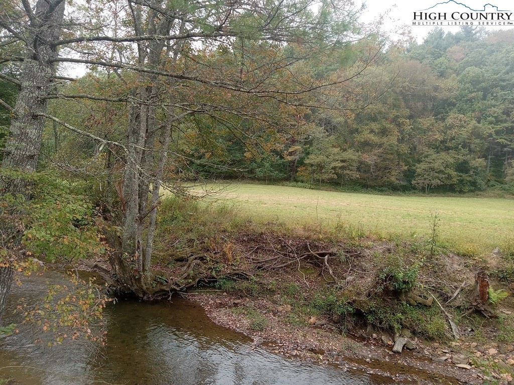 Tbd Big Peak Creek Road Property Photo 16